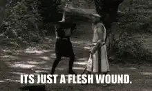 Its Just a Flesh Wound