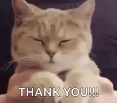 Grateful Cat Meme