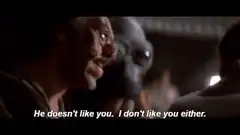 He doesn't like you. I don't like you either.