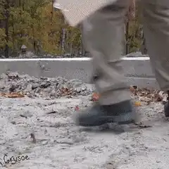 Dachshunds in construction gear digging