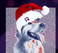 Dog in Santa Hat with Glowing Ring