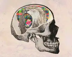Psychedelic skull with changing brain art