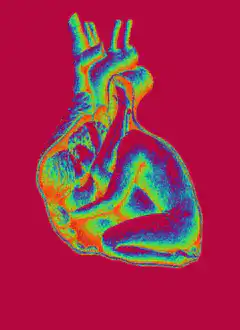 Thermal heart with curled figure