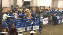 T-Rex mascot rides a bucking bronco