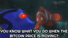 Dory laser eyes Bitcoin stacking