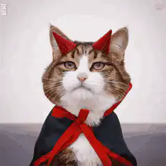 Cat in devil costume