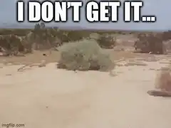 Tumbleweed rolling across desert