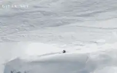 skier narrowly escapes avalanche
