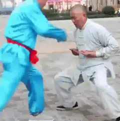 Old man dodges kick with tai chi