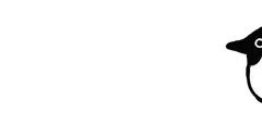 black and white duck walks across screen