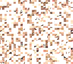 Pixelated Skin Texture