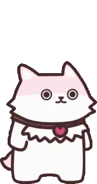Spinning white cat with pink collar