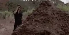 That is one big pile of shit