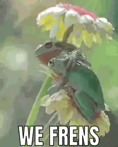 Two frogs on a flower we frens
