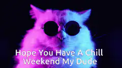 Chill Cat With Sunglasses