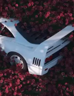 White sports car in red flowers