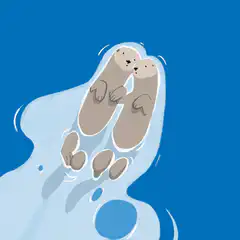 Two otters floating on their backs