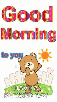 Good Morning Bear GIF