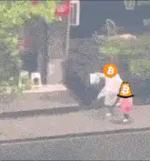 Bitcoin heads dancing on sidewalk