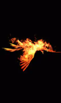 Flaming bird flying