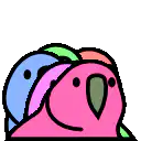 Colorful parrots changing colors