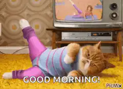 Cat in pajamas saying good morning