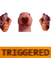 Triggered dog with guns
