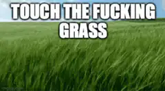 Touch the fucking grass