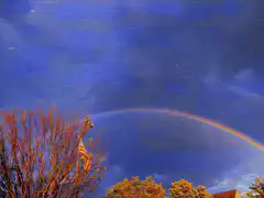 glitchy rainbow over trees
