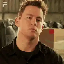 Channing Tatum and Jonah Hill in 21 Jump Street