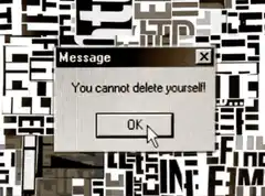 You cannot delete yourself message box