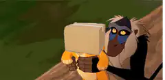 Rafiki throws Simba box