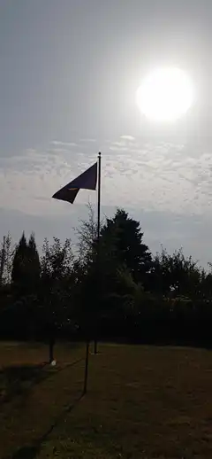 flag waving in the wind