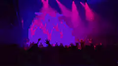 crowd at concert with pink lights