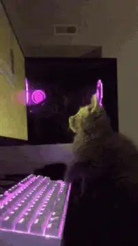 Cat playing with laser pointer on keyboard