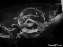 Hands holding crystal ball with skull then mustache