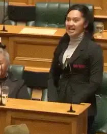 MP tears up paper in parliament