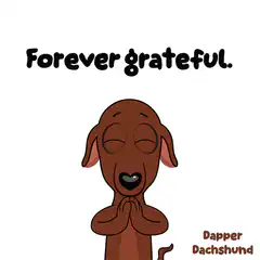 Forever grateful dachshund