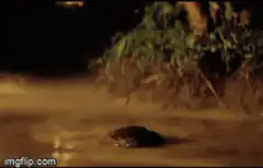 Zombie head rises from swamp