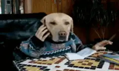 dog smoking and talking on phone