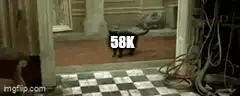 Cat 58k Keanu Reeves