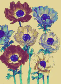 color shifting flowers illustration
