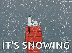 Snoopy and Woodstock on doghouse in snow