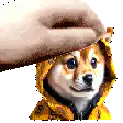 Hand petting doge in yellow hoodie