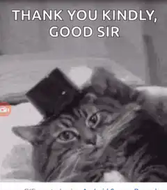 Cat tipping top hat thank you kindly