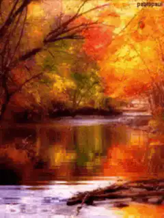 Autumn forest stream reflection