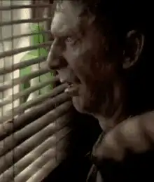 Man peering through window blinds