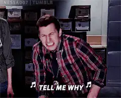 Andy Dwyer singing Tell Me Why