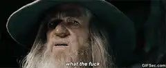 Gandalf what the fuck