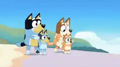 Bluey family puts on sunglasses